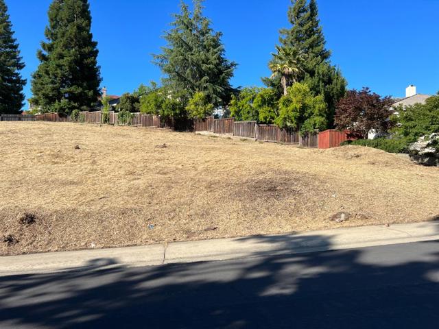 102 Black Gold Lane, Folsom CA: https://media.crmls.org/mediaz/2ed61293-9add-40ac-8056-a8873ee2ffe4.jpg