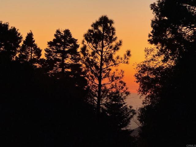 Detail Gallery Image 33 of 47 For 32771 Birch Hill Rd, Palomar Mountain,  CA 92060 - 2 Beds | 2 Baths