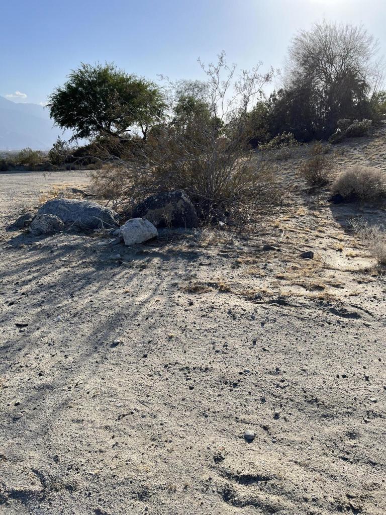 MLS #219130356DA img 3