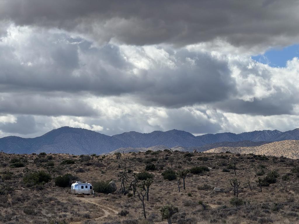 MLS #219137921DA image #8