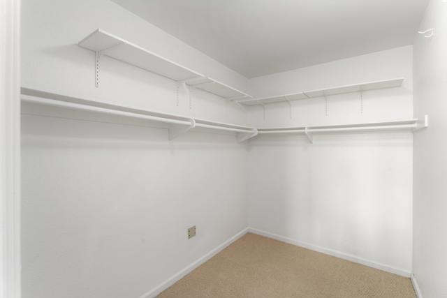 Detail Gallery Image 22 of 35 For 2420 Torrey Pines Rd #B303,  La Jolla,  CA 92037 - 2 Beds | 2 Baths