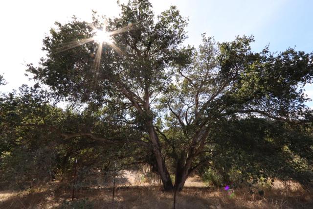417 Maher Road, Royal Oaks CA: https://media.crmls.org/mediaz/2f1392b3-85eb-4a55-be06-51fe0b15a0f5.jpg