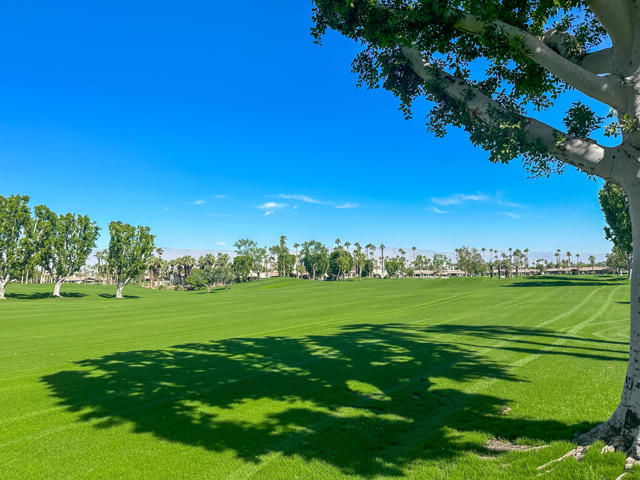 RunningSprings364#30