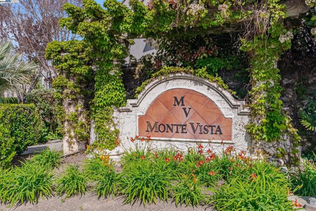 Image 25 of 30 For 35580 Monterra Ter