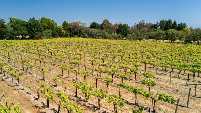 3357 Chardonnay Road, Soquel CA: https://media.crmls.org/mediaz/2f1863d2-eee3-457a-8376-2132900471c2.jpg