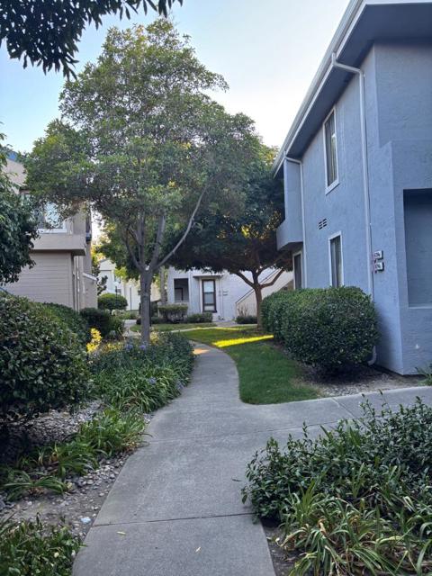 6204 Buena Vista Drive, Newark CA: https://media.crmls.org/mediaz/2f191001-4df0-4578-bad0-e654d906762f.jpg