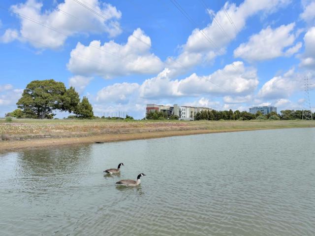 400 Mariners Island Boulevard, San Mateo CA: https://media.crmls.org/mediaz/2f473f2c-9c0e-4ace-82f1-eb3789eaeee6.jpg