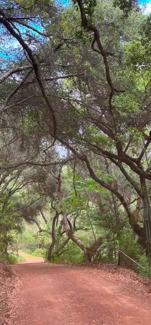 0 Uvas Road, Morgan Hill CA: https://media.crmls.org/mediaz/2f53869b-c5ce-4e4e-9ccb-81a99830833d.jpg