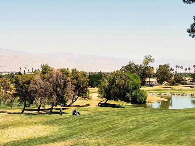 340 Vista Royale Drive, Palm Desert CA: https://media.crmls.org/mediaz/2f590e3f-0b68-42b2-9afd-e71085bdd5c0.jpg