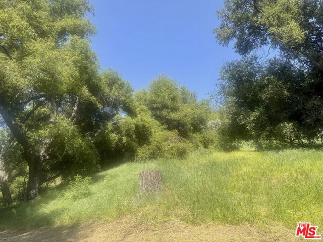 1256 N Topanga Canyon Boulevard, Topanga CA: https://media.crmls.org/mediaz/2f5fb52e-c582-442b-b3be-363b4ea74399.jpg