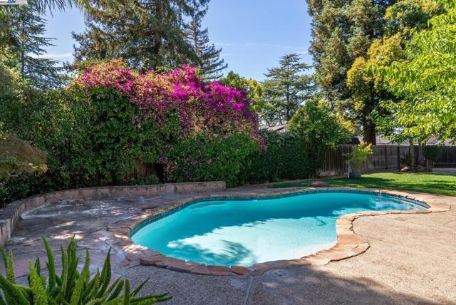 1515 Grove Way, Concord CA: https://media.crmls.org/mediaz/2f61fbce-1670-4638-a011-eb9fd10bf557.jpg