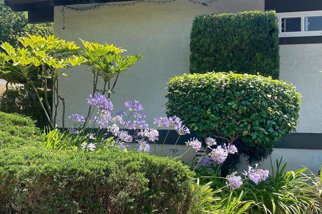 Detail Gallery Image 7 of 7 For 137 Beaumont Dr, Vista,  CA 92084 - 4 Beds | 2/1 Baths