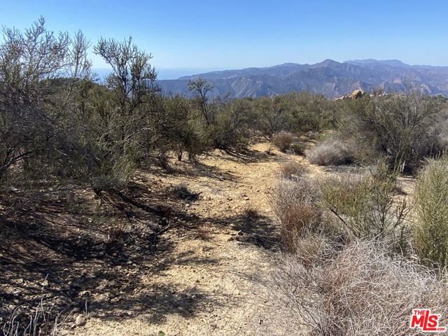 0 W Saddle Peak photo 6