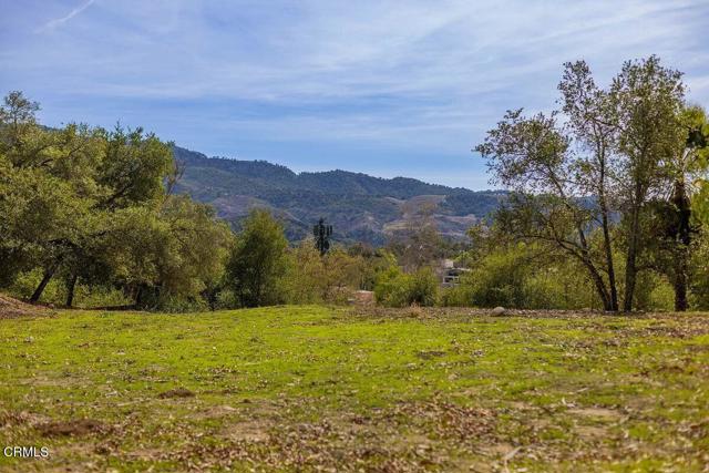 1090 Cuyama Road, Ojai CA: https://media.crmls.org/mediaz/2f7fdde9-a693-44c0-9799-87e1501e8f35.jpg