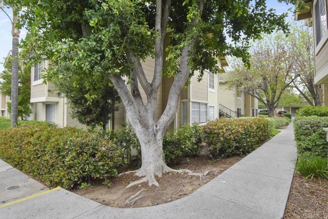 Detail Gallery Image 6 of 27 For 3625 Grove St #162,  Lemon Grove,  CA 91945 - 2 Beds | 2 Baths