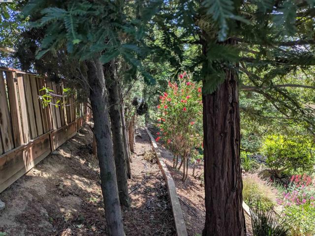 2277 Stillcreek Ct, Martinez CA: https://media.crmls.org/mediaz/2f8301a4-05ed-48d0-aa6d-7ca3af355bbc.jpg