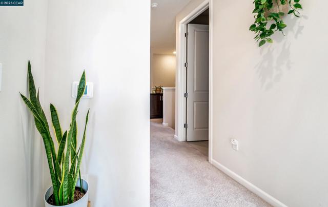 1233 Bockman, San Lorenzo CA: https://media.crmls.org/mediaz/2f93c4d3-0244-4889-8085-20b3f1830994.jpg