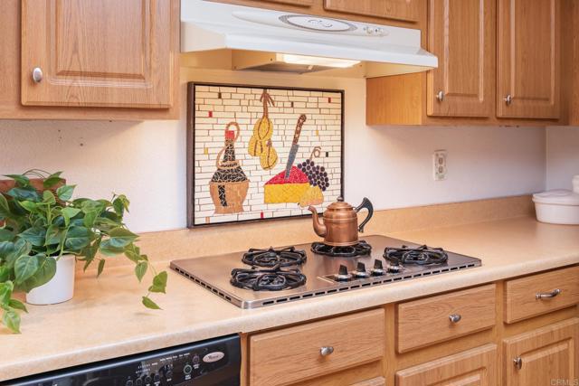 Detail Gallery Image 17 of 48 For 634 via Santa Cruz, Vista,  CA 92081 - 2 Beds | 2 Baths