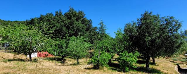 Detail Gallery Image 68 of 69 For 26380 San Felipe Rd, Warner Springs,  CA 92086 - 2 Beds | 2 Baths