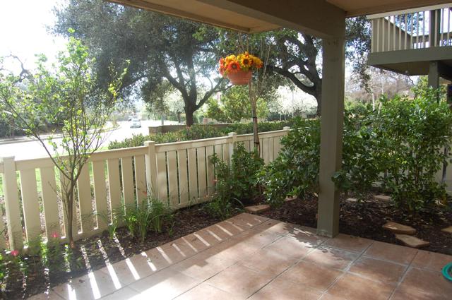 Fruit Trees on Patio