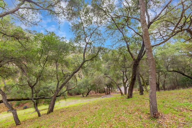 3005 Tohara Way, Morgan Hill CA: https://media.crmls.org/mediaz/2fb8d3ae-fead-4de1-aea7-3a368bf10cfe.jpg