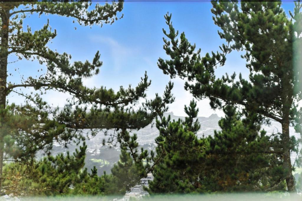 https://media.crmls.org/mediaz/2fbd655a-34b3-4165-833f-210969e75993.jpg?preset=X-Large
