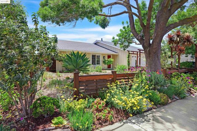 32212 Deborah Dr, Union City CA: https://media.crmls.org/mediaz/2fcee51c-9665-4108-8f89-2348c07f32b6.jpg