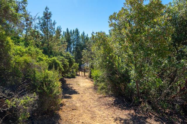 924 Croy Ridge Road, Gilroy CA: https://media.crmls.org/mediaz/2fdc5f67-b589-433f-ac0b-10a11ae4fcbd.jpg