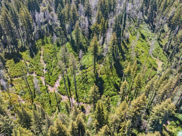 0 & 06 Branson, Boulder Creek CA: https://media.crmls.org/mediaz/2fe4d129-35e8-4591-ab70-1e3131581a9e.jpg