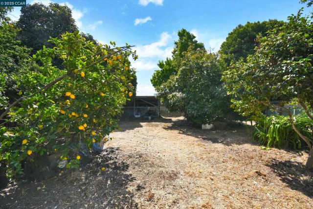 973 Paradise Blvd, Hayward CA: https://media.crmls.org/mediaz/2fe76042-3150-44a4-b854-3baf22e0fc8b.jpg