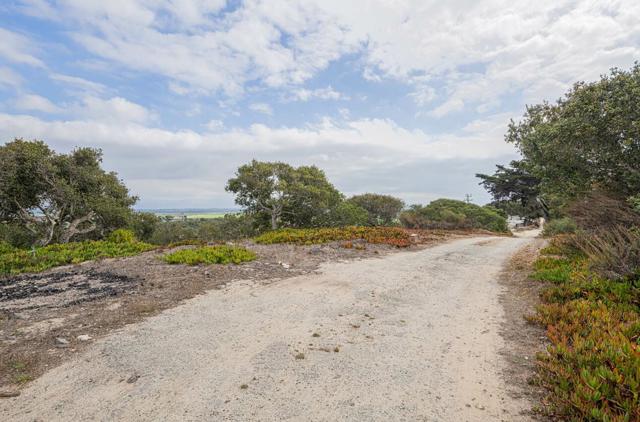 905 W Blanco Road, Salinas CA: https://media.crmls.org/mediaz/2fef5bf2-49e6-40b3-b521-6927d2e5295d.jpg