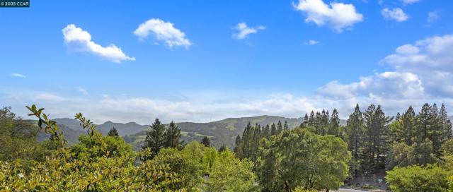 316 Village View Ct, Orinda CA: https://media.crmls.org/mediaz/2ff26ec0-4264-4ad1-ad71-271fe25390ab.jpg