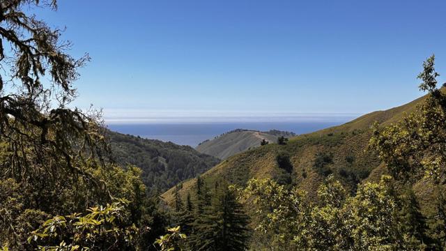 37783 Palo Colorado Road, Carmel CA: https://media.crmls.org/mediaz/2ff5702e-09bc-4201-aca5-0f03c3dad117.jpg
