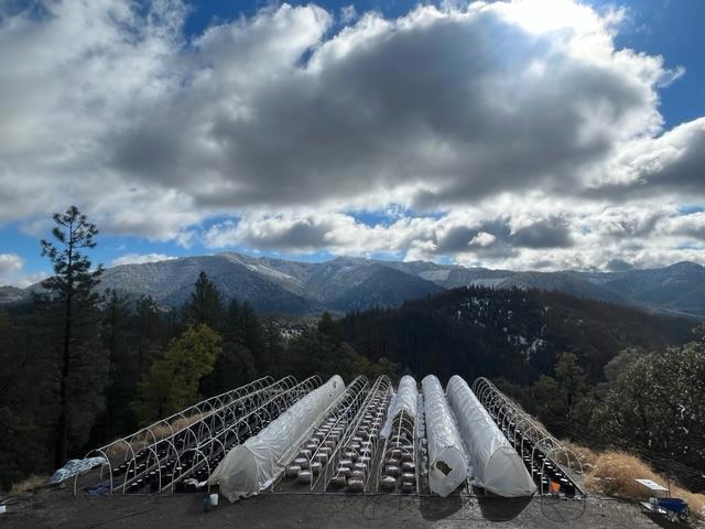 1900 Devils Gulch Road, Hayfork CA: https://media.crmls.org/mediaz/2ff9bd31-7171-4291-9b00-2b4946ad16cc.jpg