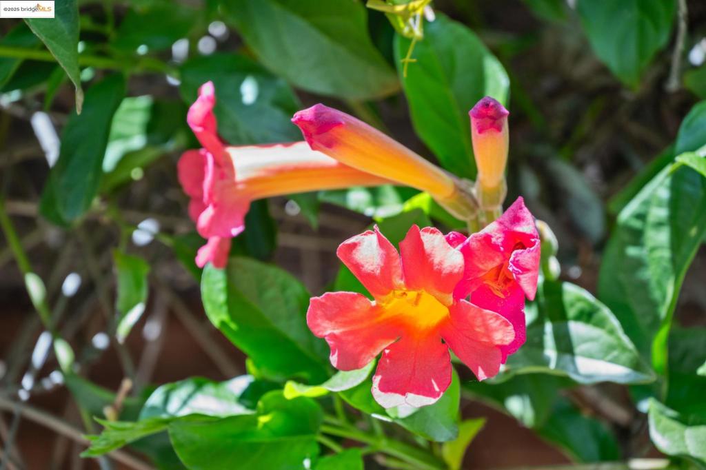 https://media.crmls.org/mediaz/2ffb6dff-6134-4a44-b50c-9882ee907769.jpg?preset=X-Large