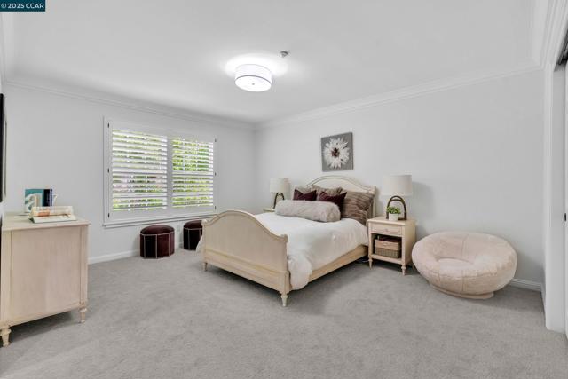 529 Justin Morgan Dr, Alamo CA: https://media.crmls.org/mediaz/2fff1438-9335-471c-8c27-86902757635b.jpg