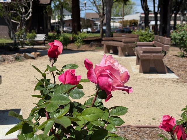3206 Garfield Ave, Alameda CA: https://media.crmls.org/mediaz/3011272b-56a4-49b3-b354-1a099233f7ac.jpg