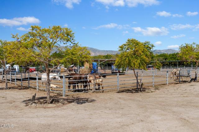 14-web-or-mls-14 - Horse Corral