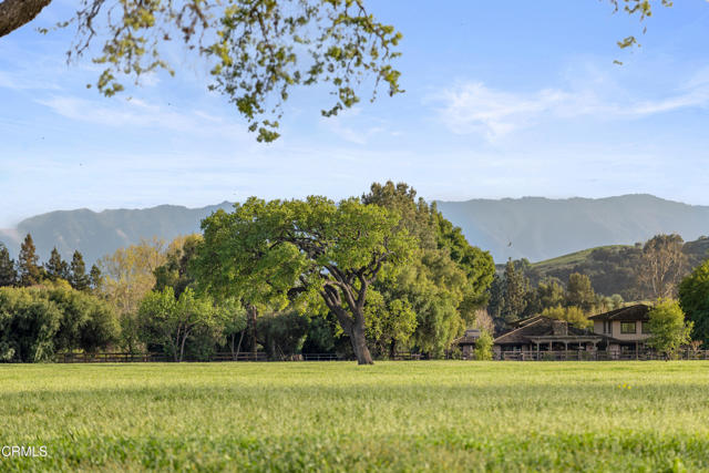 Detail Gallery Image 59 of 75 For 3325 Figueroa Mountain Rd, Los Olivos,  CA 93441 - 3 Beds | 3/2 Baths