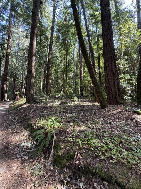 0 Slate Creek Rd., La Honda CA: https://media.crmls.org/mediaz/3022a821-1794-4b2f-a5f3-7e3e63dad606.jpg
