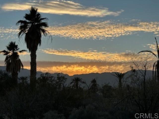 2954 Foursome Drive, Borrego Springs CA: https://media.crmls.org/mediaz/3024c977-0eb6-4366-a249-abb482887262.jpg