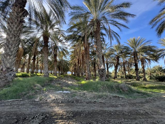 0 Nwc Pierce St & Ave 64, Thermal CA: https://media.crmls.org/mediaz/302e068e-66b5-4614-b03f-41f306b07568.jpg