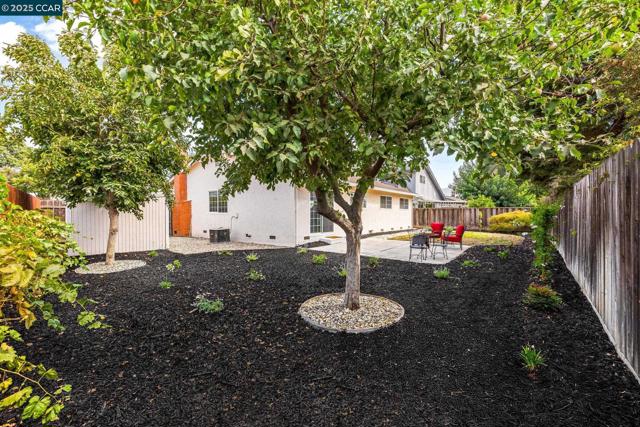 127 Elvira St, Livermore CA: https://media.crmls.org/mediaz/30305ac2-3bc9-4eb8-8ccd-8510fb22c3ff.jpg
