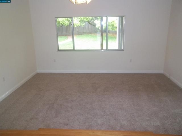 New carpets