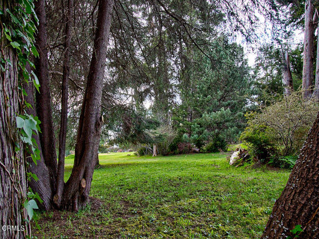 Detail Gallery Image 25 of 26 For 19100 Summers Ln, Fort Bragg,  CA 95437 - – Beds | – Baths