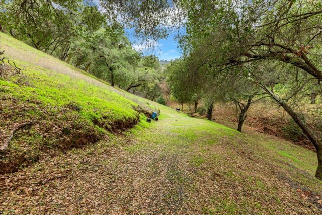 3005 Tohara Way, Morgan Hill CA: https://media.crmls.org/mediaz/303cda9b-f538-47ad-b6c1-d13cbf9517a1.jpg