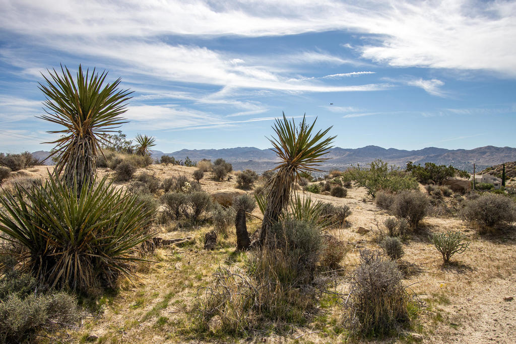 MLS #219138040PS image #16