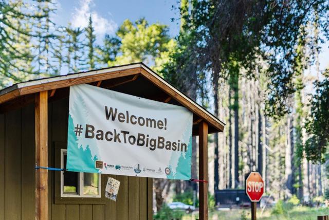 15995 Big Basin Way, Boulder Creek CA: https://media.crmls.org/mediaz/3045e41d-6593-4dbb-b37f-1685ec35ffe7.jpg