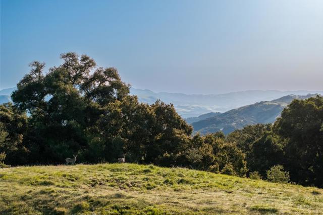 52 Chamisal Pass (Lot 136), Carmel CA: https://media.crmls.org/mediaz/30486766-df62-494b-98d3-01b5884b3f1d.jpg