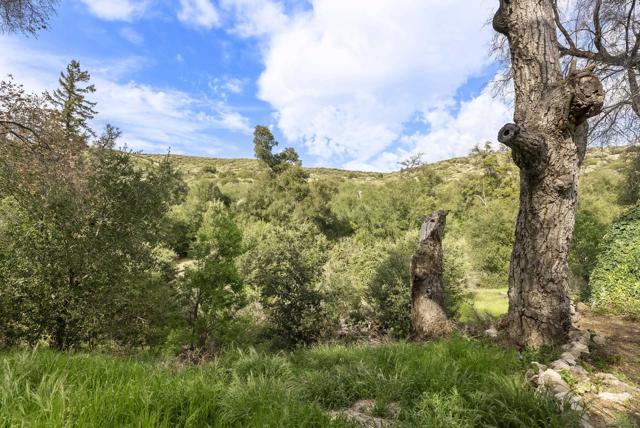 26742 San Felipe Rd, Warner Springs CA: https://media.crmls.org/mediaz/304a9674-508d-4447-9501-f0ae9b96d11e.jpg